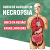 Curso Online de Auxiliar em Necropsia