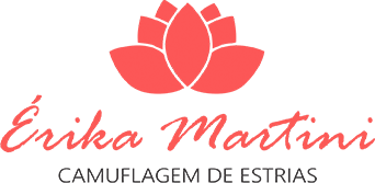 Maxxi CUrsos EaD - logo-camuflagem